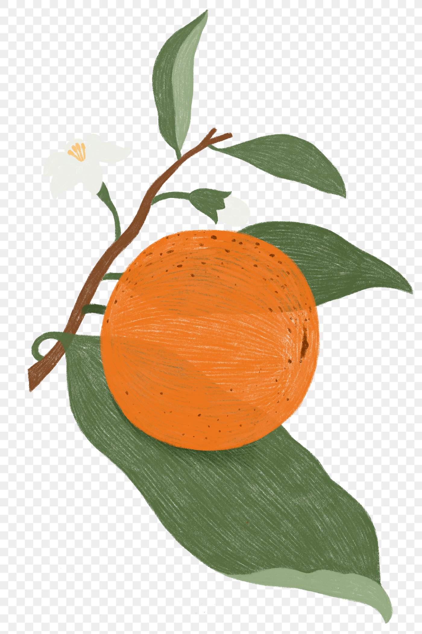 Doodle orange design element png Royalty free stock Doodle orange design element png Royalty free stock