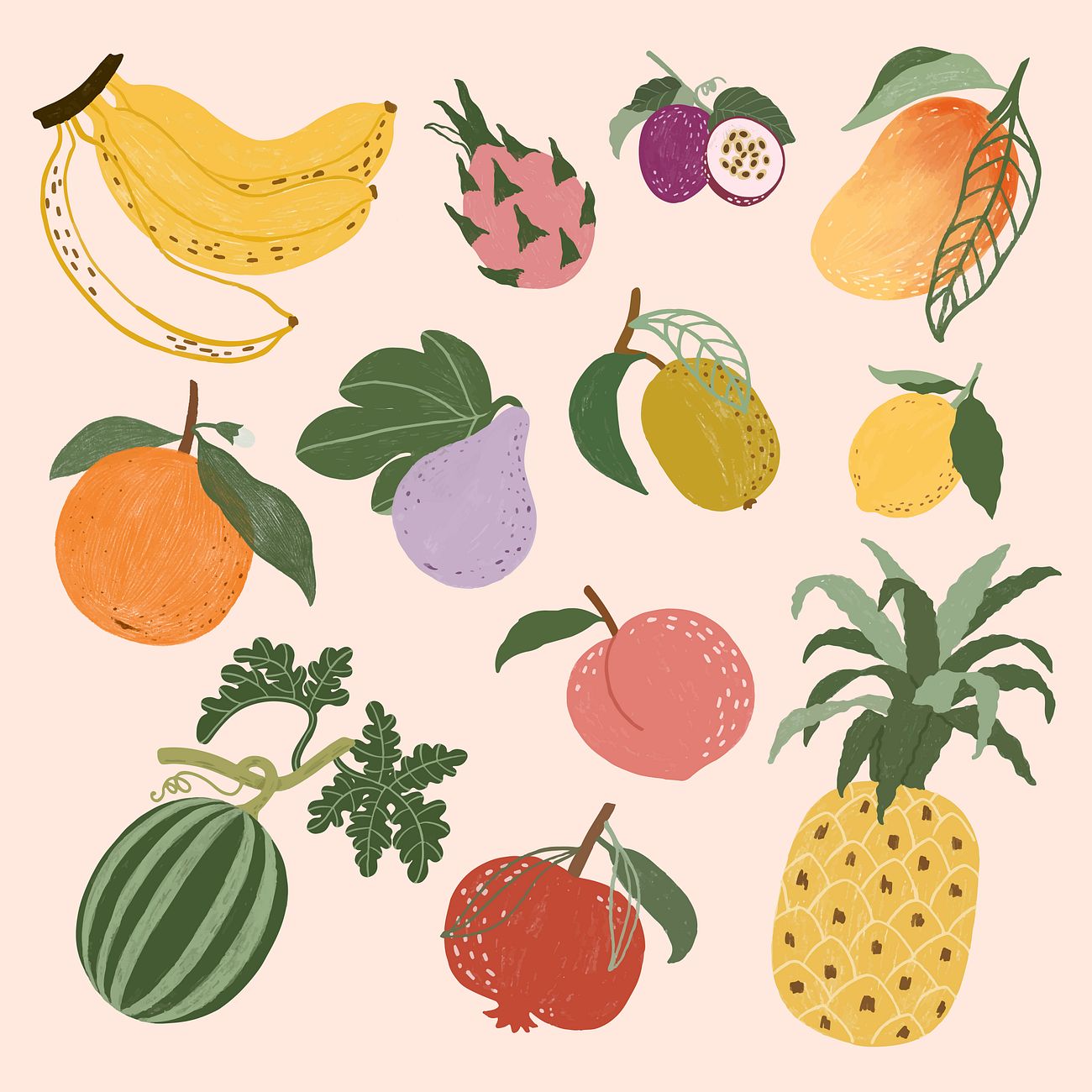 Download Doodle tropical fruit design element set | Royalty free vector - 2222954