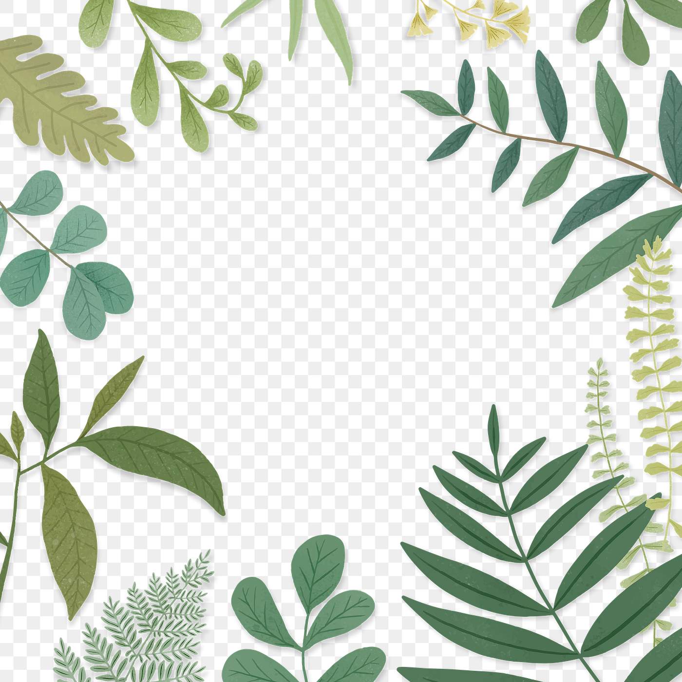 Green leaves frame transparent png | Free transparent png - 2256098