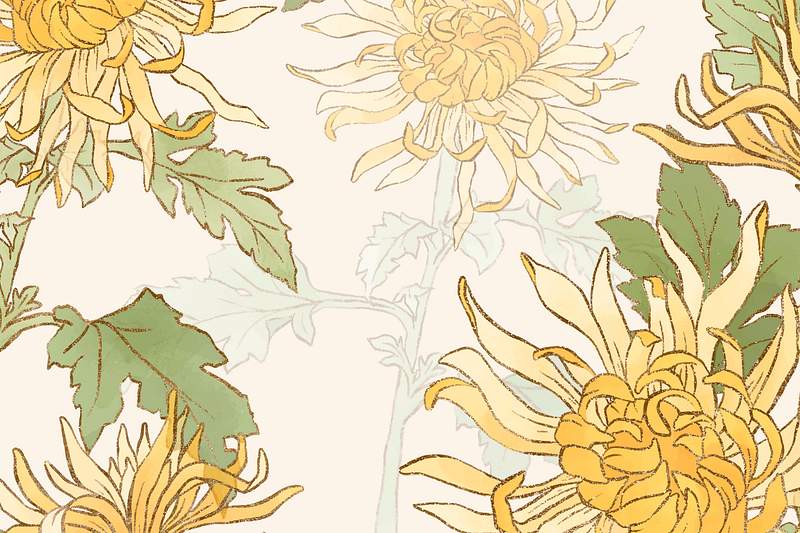 Chrysanthemum Background Images | Free Photos, PNG Stickers, Wallpapers