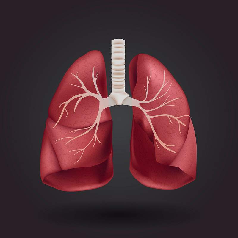 Pulmonary Images | Free Photos, PNG Stickers, Wallpapers & Backgrounds