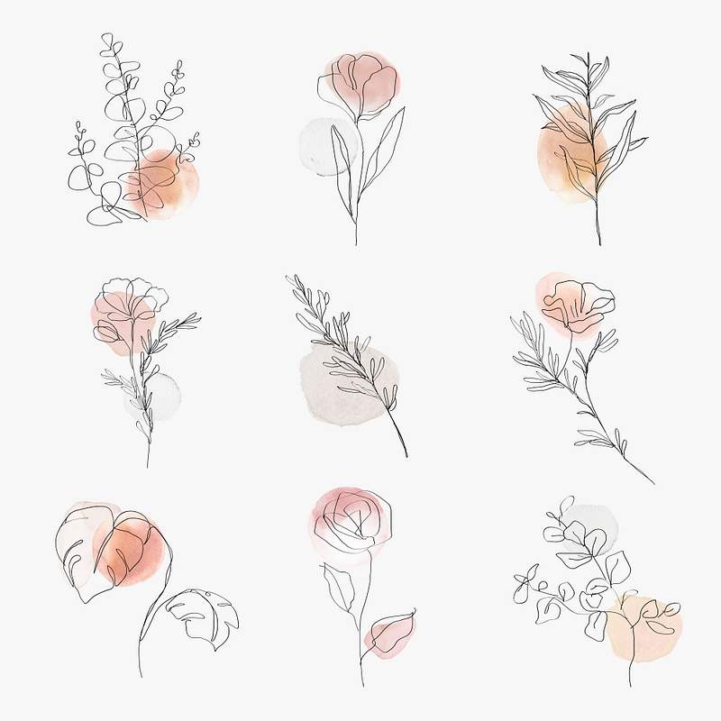 photo Flower Drawing Aesthetic Minimalist Line Art minimalist drawing images free