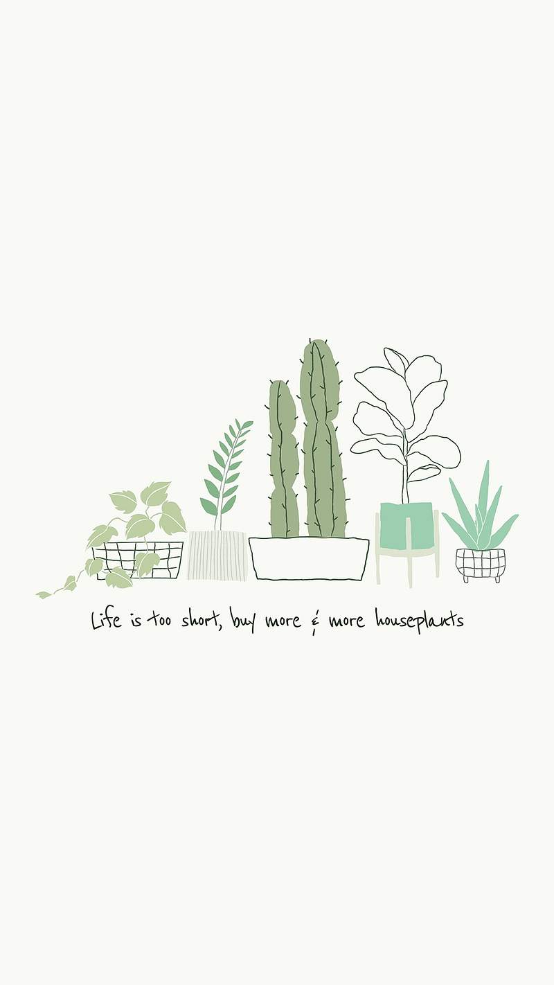 Succulent Wallpaper Images | Free Photos, PNG Stickers, Wallpapers