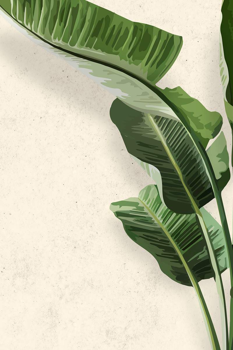 Banana Leaf Images | Free Photos, PNG Stickers, Wallpapers & Backgrounds -  rawpixel