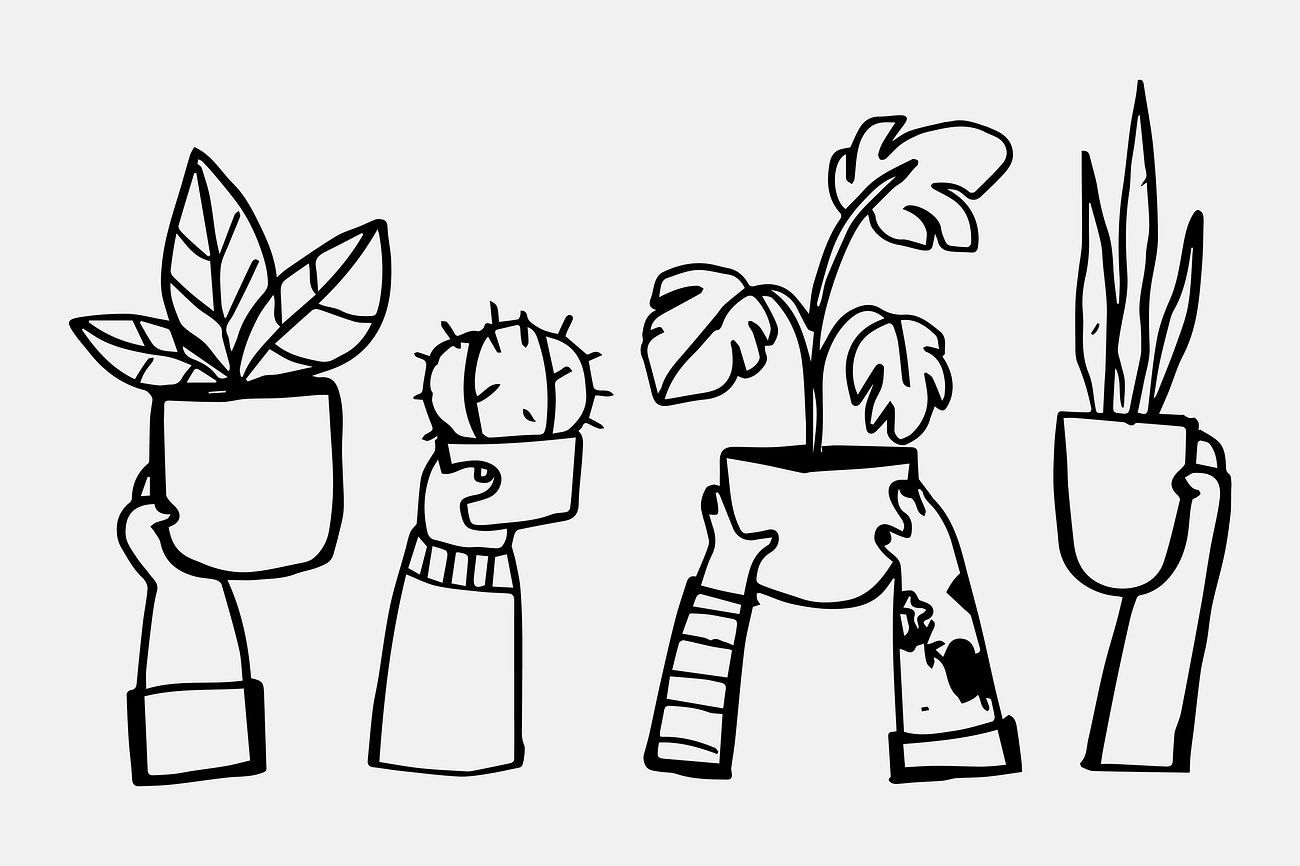 Plants Drawing Black And White Images | Free Vectors, PNGs, Mockups
