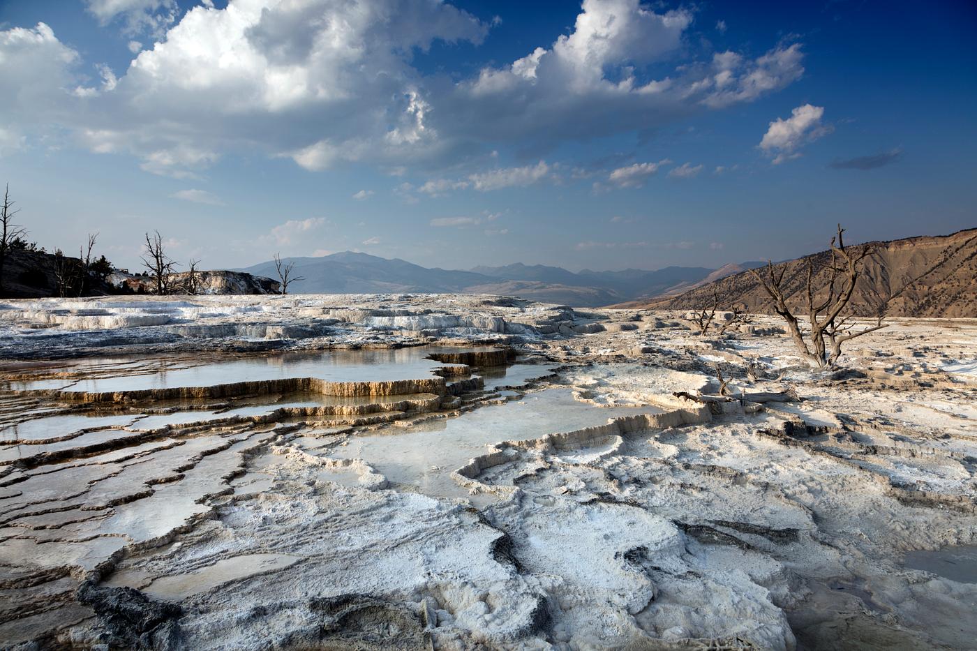 Scene from Yellowstone National Park's Lower Terrace, a complex of geothermal vents and hot springs that over time... Scene from Yellowstone National Park's Lower Terrace, a complex of geothermal vents and hot springs that over time...
